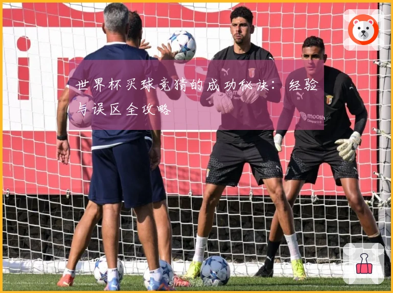 世界杯买球竞猜的成功秘诀：经验与误区全攻略