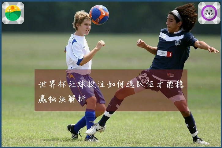 世界杯让球投注如何选队伍才能稳赢秘诀解析