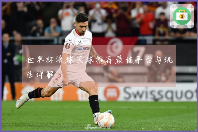 世界杯滚球买球推荐最佳平台与玩法详解