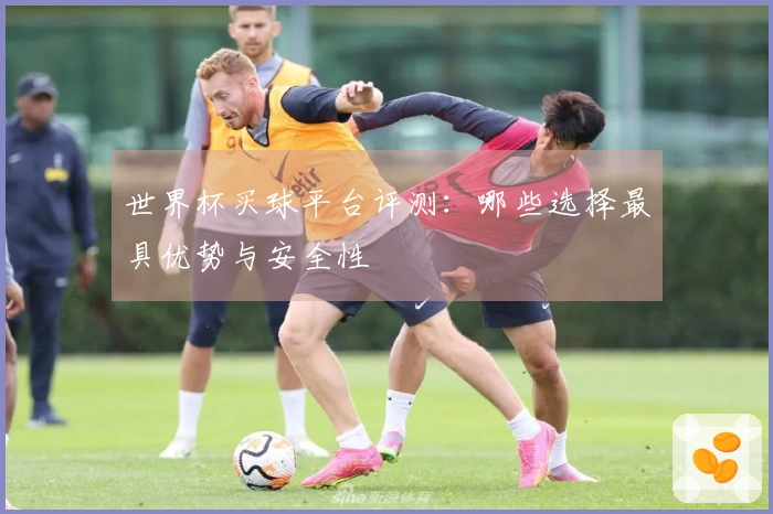 世界杯买球平台评测：哪些选择最具优势与安全性